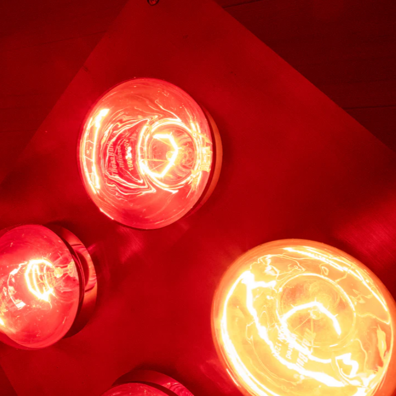 Close-up of red light therapy bulbs inside the Sweat Box Infrared Sauna, designed for deep heat penetration, detox, muscle recovery, and wellness benefits.